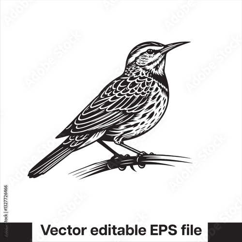Western meadowlark silhouette, Meadowlark Bird Clipart, Western meadowlark landing on branch Illustration in black and white