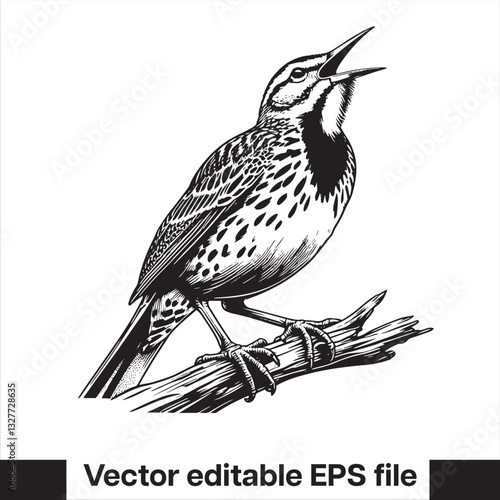 Western meadowlark silhouette, Meadowlark Bird Clipart, Western meadowlark landing on branch Illustration in black and white