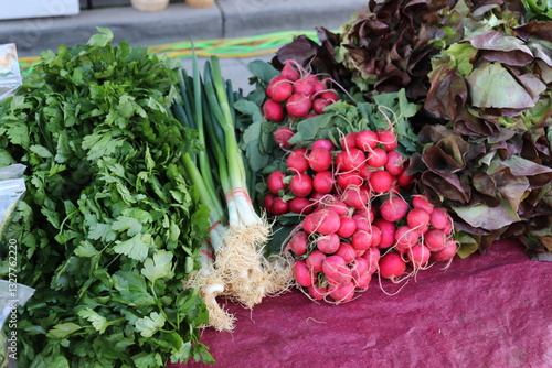 fresh vegetables at the market