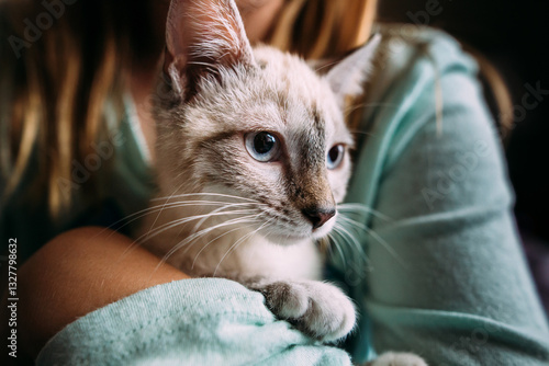 Girl holding siamese cat
