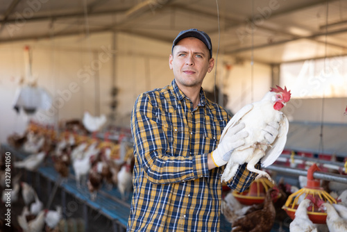 Canvas Print Portrait of successful skilled chicken breeder standing in henhouse with white laying hen in hands