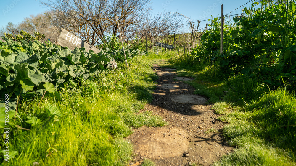 Scenic Garden Path Surrounded by Greenery Scenic Garden Path Surrounded by Greenery