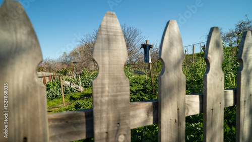 Scenic Garden Path Surrounded by Greenery