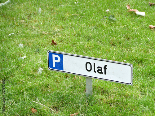 Foto Parking in the green for Olaf