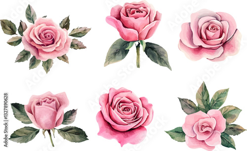 High-Quality Watercolor Pink Rose Flower