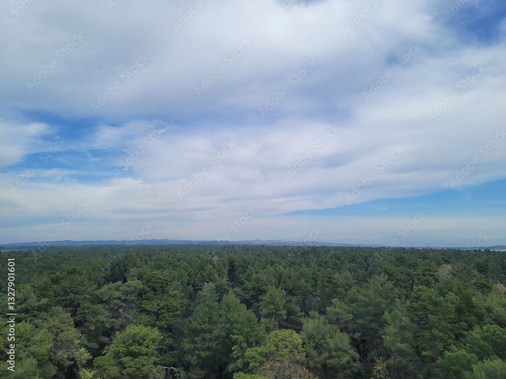 The foreground is a dense forest, various shades of green trees. The background reveals a lighter, almost hazy, sky with scattered, fluffy, white clouds, against which the darker blue sky is visible. The foreground is a dense forest, various shades of green trees. The background reveals a lighter, almost hazy, sky with scattered, fluffy, white clouds, against which the darker blue sky is visible.
