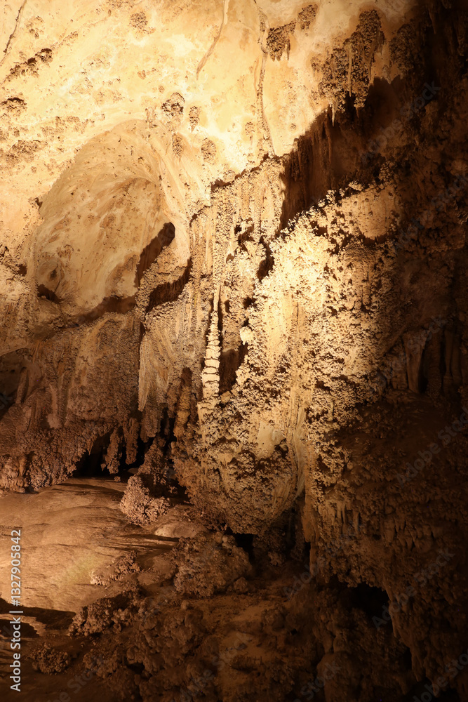 Obraz premium Rock formations in Carlsbad Caverns National Park, New Mexico