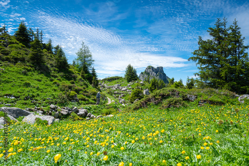 Senior man enjoying the views while hiking the Schynige Platte of the Swiss alps in Switzerland with fantastic views of the Swiss alps in the Jungfrau region of the bernese Oberland.