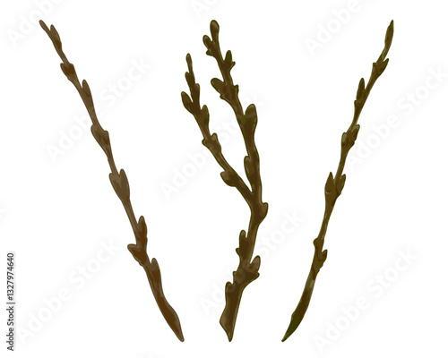 Botanical illustration of brown tree branches in natural style. Three brown branches with organic textures isolated on a white background, showcasing natural shapes and botanical details