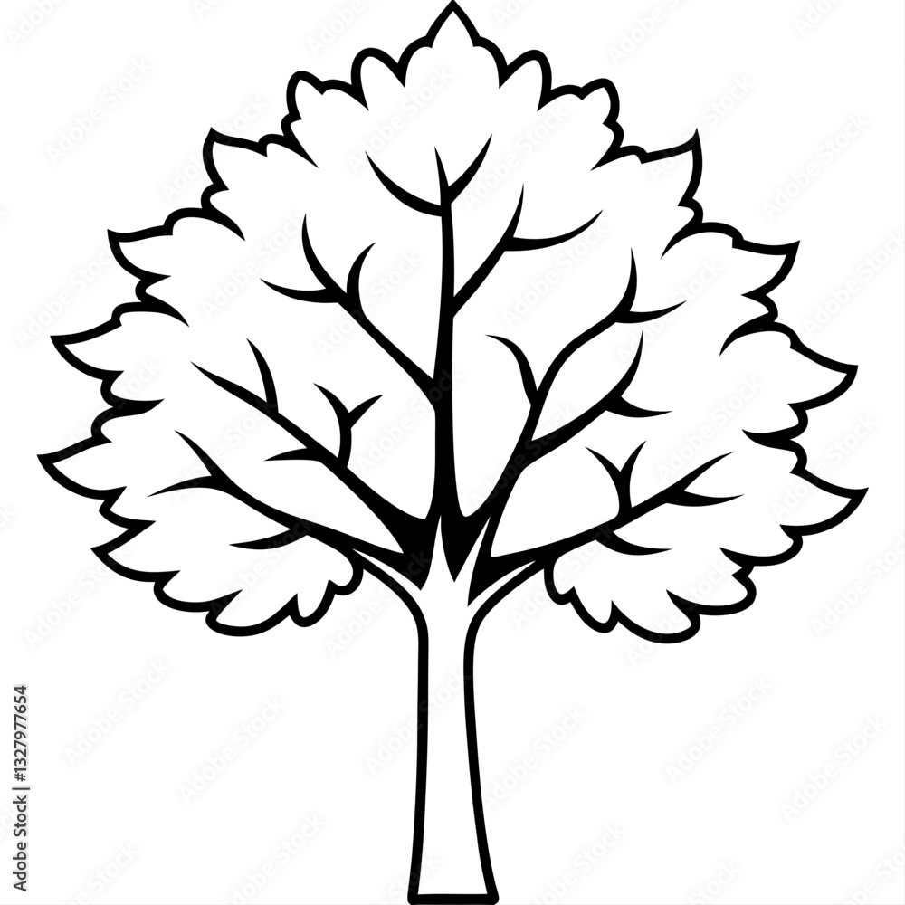 A Maple tree line art vector illustration on white background A Maple tree line art vector illustration on white background