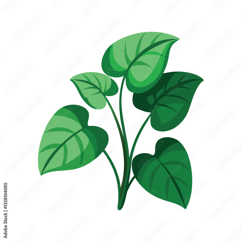 Fototapeta premium green leaves isolated on white background