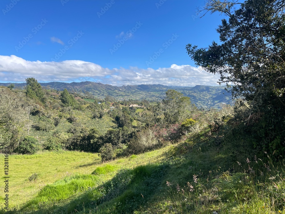 Obraz premium landscape in the mountains