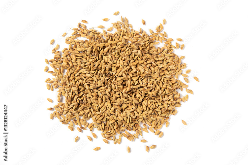 Drying the paddy, rice seeds wrapped in husks isolated on white background Drying the paddy, rice seeds wrapped in husks isolated on white background