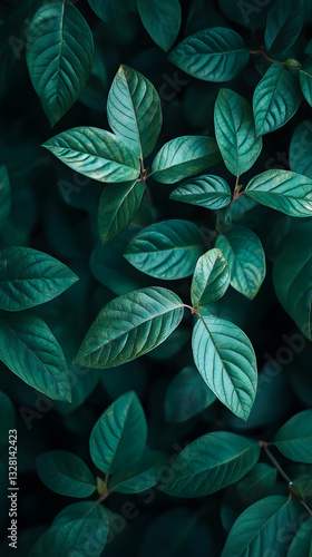 Wallpaper Mural Social media picture with dark green textured leaves Torontodigital.ca