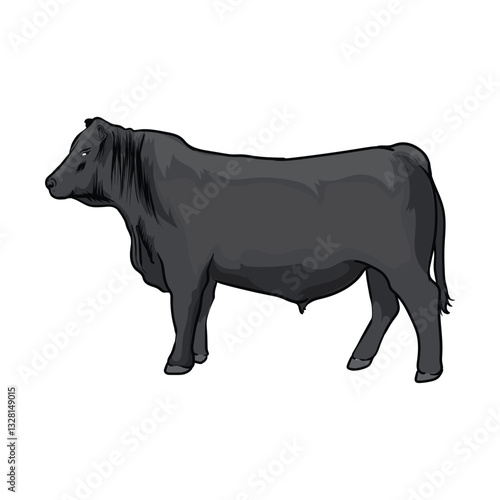 black angus with separate white background