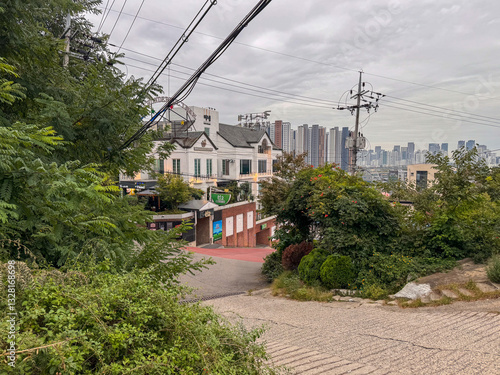 Wallpaper Mural Hillside View of a City with Residential and Commercial Buildings Torontodigital.ca