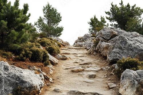A serene mountain trail weaves through pine trees and rocky terrain, inviting exploration. The natural setting, framed against a clean white background, makes it versatile for creative uses.