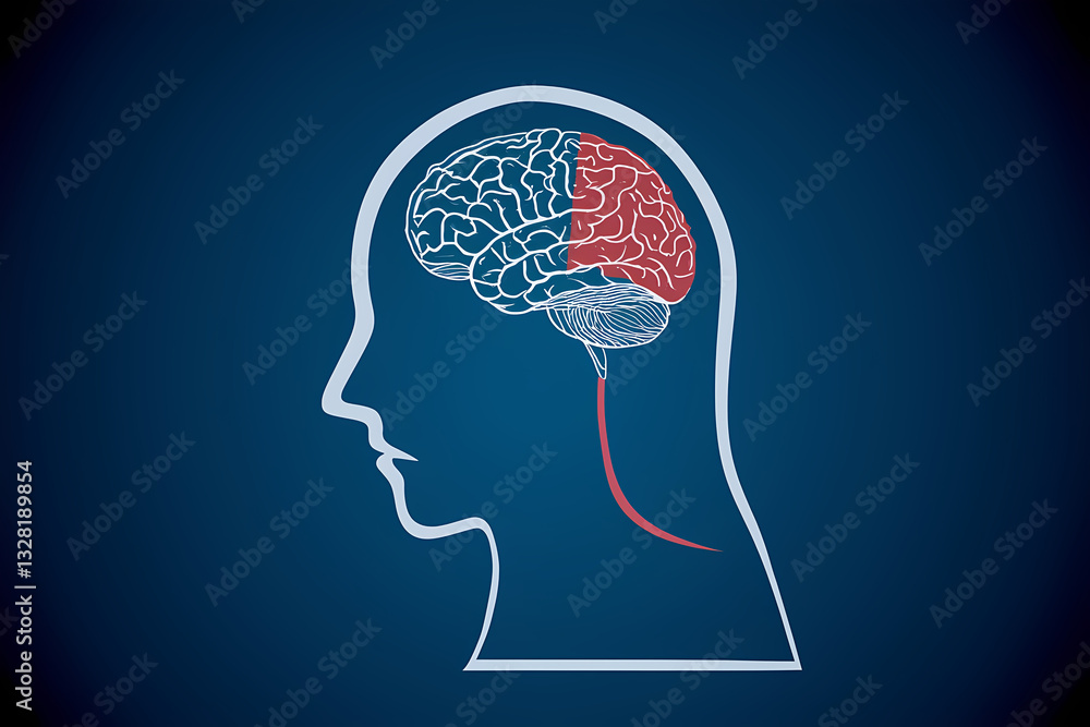 Obraz premium Metaphor bipolar disorder mind mental. Concept mood disorder. Mental health and intelligence concept