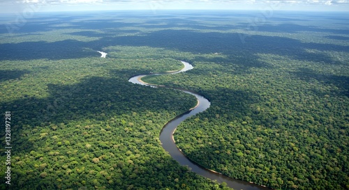 Aerial View of Serpentine River Flowing Through Dense Tropical Rainforest