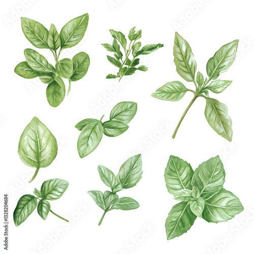 A watercolor of various fresh green leaves, including basil, mint, spinach, and parsley on white background.