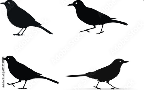 bird walking silhouette