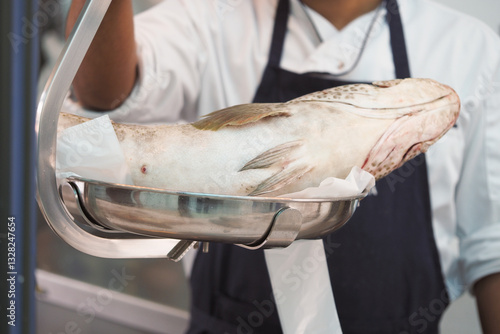 Photography Chef holding a freshly caught fish in a stainless steel tray