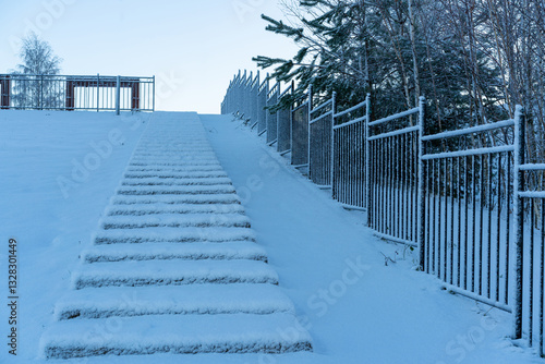 Winter landscapes in the park.