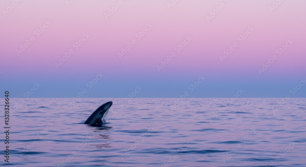 Fototapeta premium Serene Sunset: A Whale's Gentle Emergence from the Ocean's Embrace