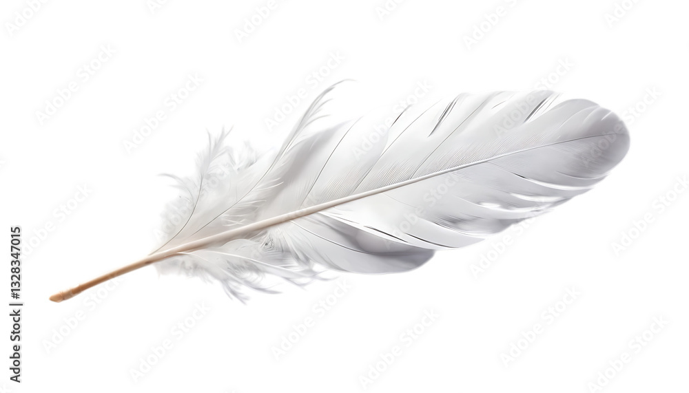 Obraz premium White feather floating png