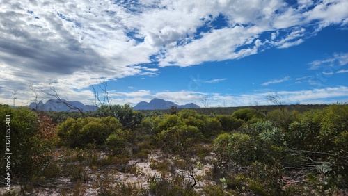 Obraz na płótnie Stirling Range in Western Australia w salonie