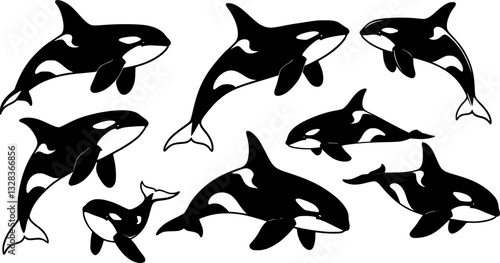 Set of killer whales. Collection of stylized orca whale. Black white vector illustration of sea predatory fish. Tattoo.
