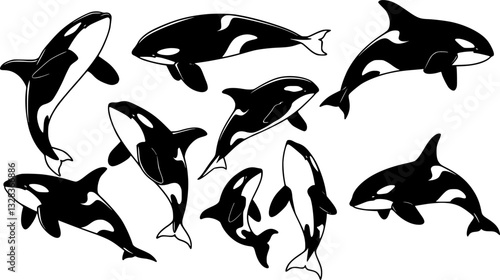 Set of killer whales. Collection of stylized orca whale. Black white vector illustration of sea predatory fish. Tattoo.
