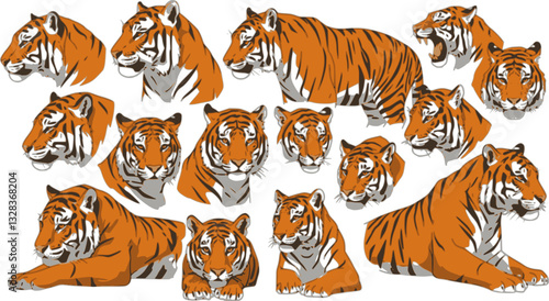 Set of big tigers. Collection of portraits of predatory wild cats. Set of wildlife and fauna dwellers. Vector illustration on a white background. Tattoo