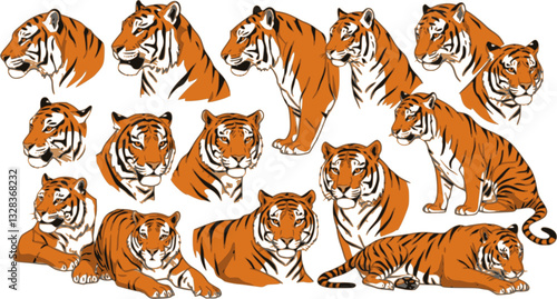 Set of big tigers. Collection of portraits of predatory wild cats. Set of wildlife and fauna dwellers. Vector illustration on a white background. Tattoo