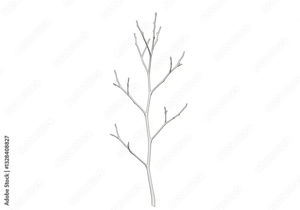 Obraz premium A Single Bare Branch Against White Background: Minimalist Nature Photography