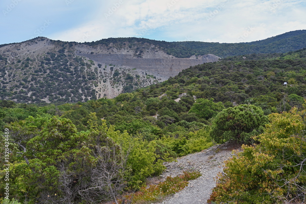 Fototapeta premium Trees and bushes in the Utrish Nature Reserve