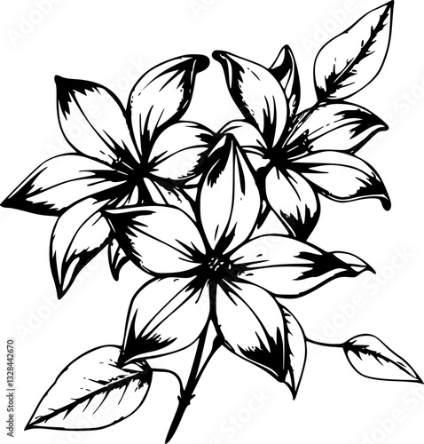 Beautiful monochrome jasmine flower sketch illustration minimalist elegant black and white hand-drawn artistic floral design for prints posters backgrounds wall art decorations