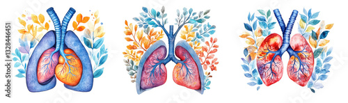 World Health Day concept. Colorful artistic representation of lungs with floral elements. on transparent cutout, PNG file