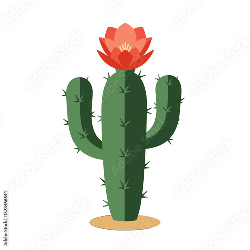 Flat Cactus with Large Flower