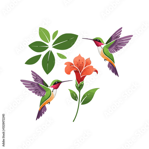 Hummingbird Delight