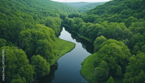 Aerial view of a lush forest sanctuary with meandering river nature landscape serene environment bird's eye perspective
