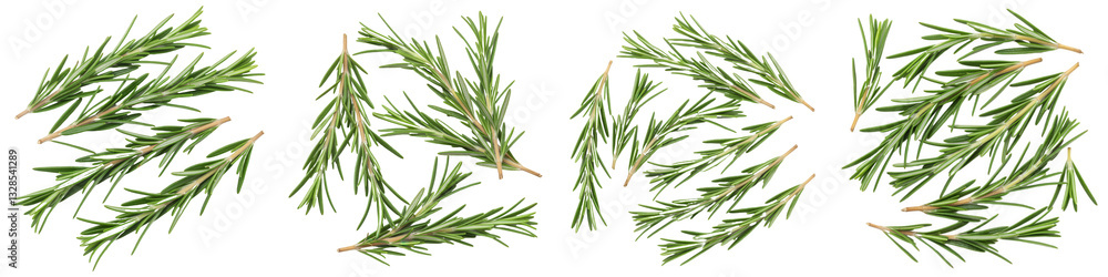 Obraz premium Fresh Rosemary Sprigs, Cut Out Set