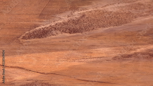 Weathered and scratched rustic wooden board. High angle view of a flat textured wooden board backgrounds