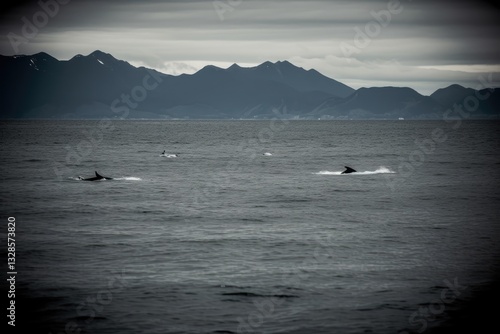 Majestic dolphins glide across a moody sea, mountains loom in the distance