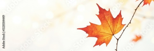Wallpaper Mural Single branch with autumn leaves on white background, fall, texture, seasonal Torontodigital.ca