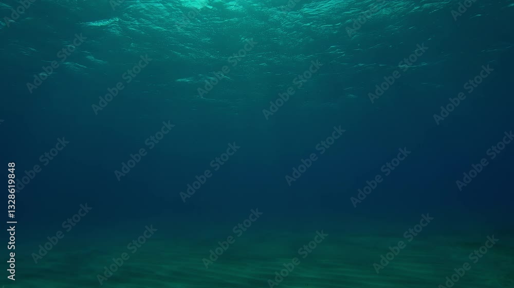 Sun rays penetrate through waves on the water surface and ripple on the sandy seabed, Slow motion of underwater sun light shine under deep water with ripples on waves surface Sun rays penetrate through waves on the water surface and ripple on the sandy seabed, Slow motion of underwater sun light shine under deep water with ripples on waves surface