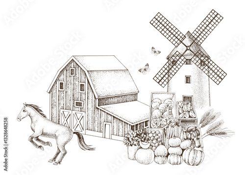 Countryside farm hand drawn illustration