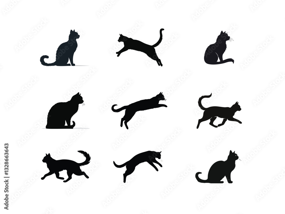 Fototapeta premium Silhouette of a cat