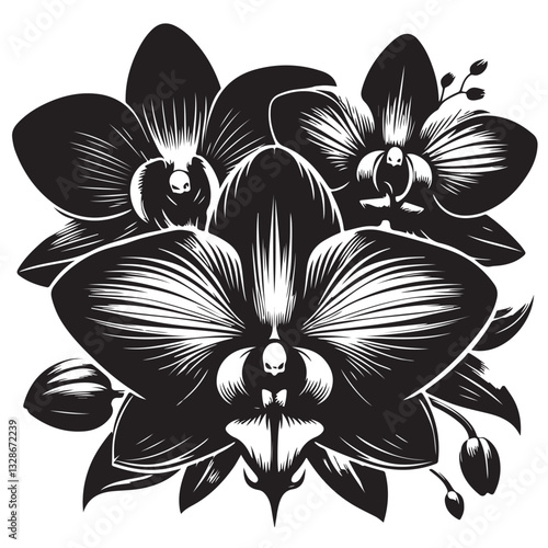 Vector Black Silhouette Orchid Flowers illustration,orchid pattern,simple modern botanical design in white background 20