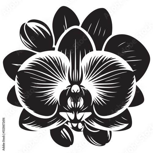 Vector Black Silhouette Orchid Flowers illustration,orchid pattern,simple modern botanical design in white background 23